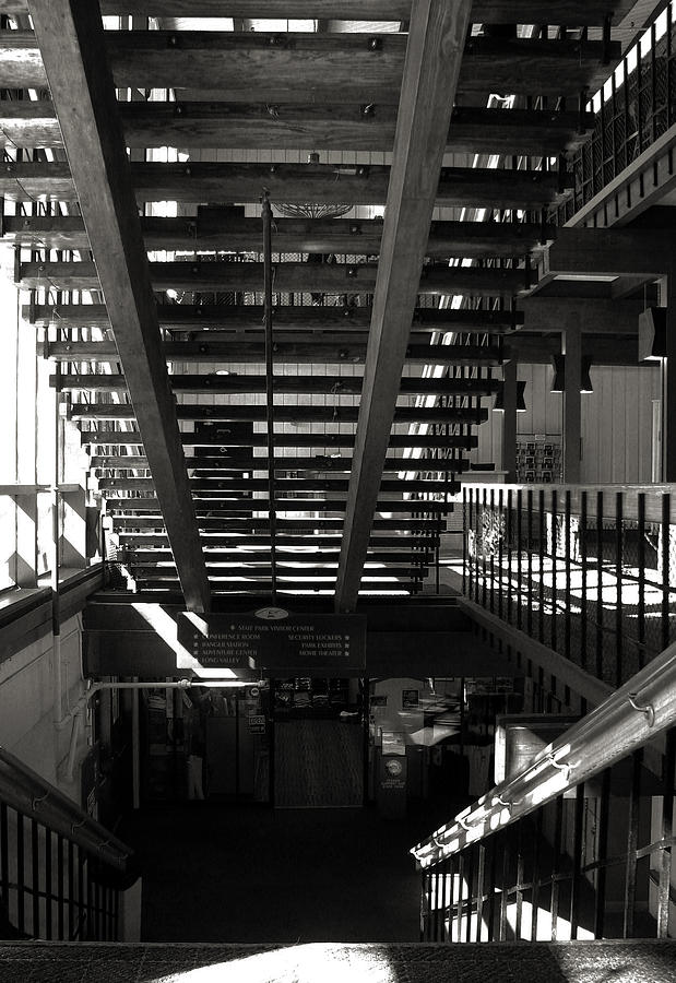 Black And White Photograph - Stairways by Joanne Coyle
