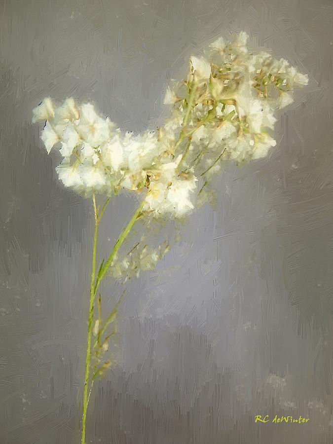 Flower Painting - Stalk of Pearls by RC DeWinter
