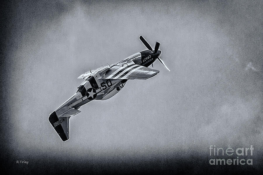 Stallion 51 - P-51D Mustang - Crazy Horse  Photograph by Rene Triay FineArt Photos