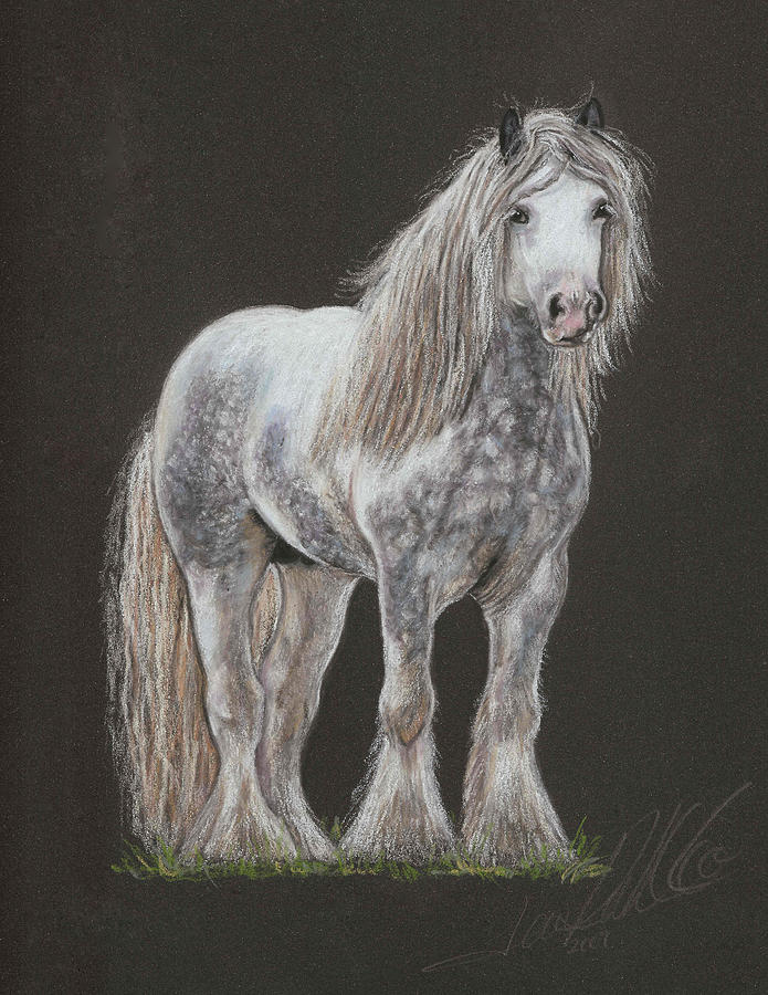 Nature Pastel - Stallion Dunbroody by Terry Kirkland Cook