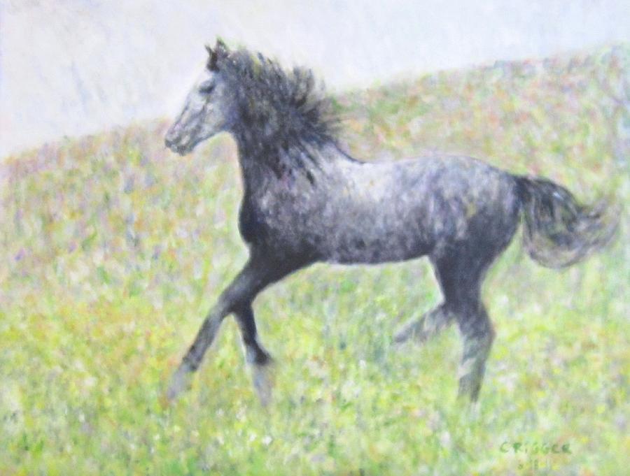 Impressionism Painting - Stallion by Glenda Crigger