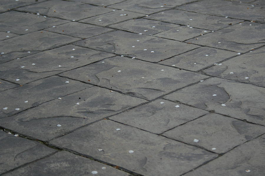 Stamped Concrete Pattern Photograph by Valerie Collins