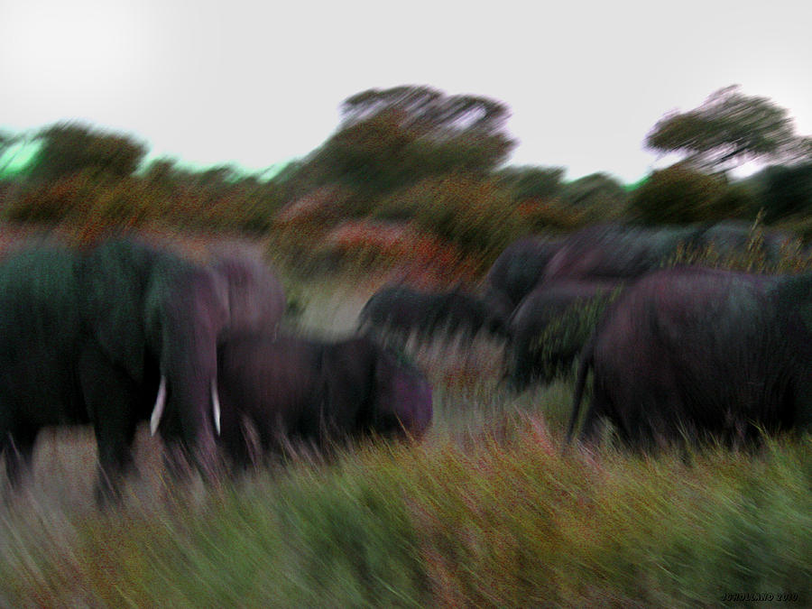 African Elephant Photograph - Stampede by Joseph G Holland
