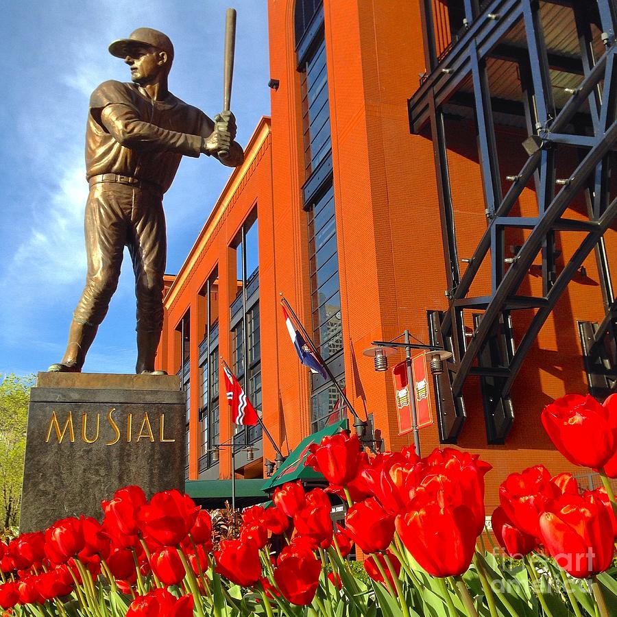 Stan Musial Statue On Opening Day  Photograph by Debbie Fenelon