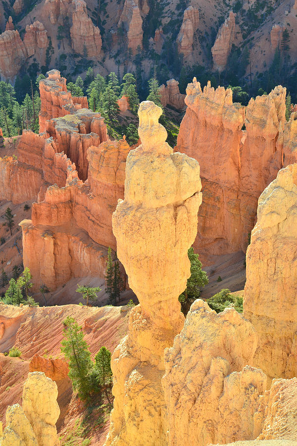 Stand Alone Hoodoo Photograph by Ray Mathis