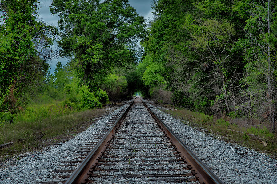 Stand By Me Digital Art by Marshall Everett - Fine Art America