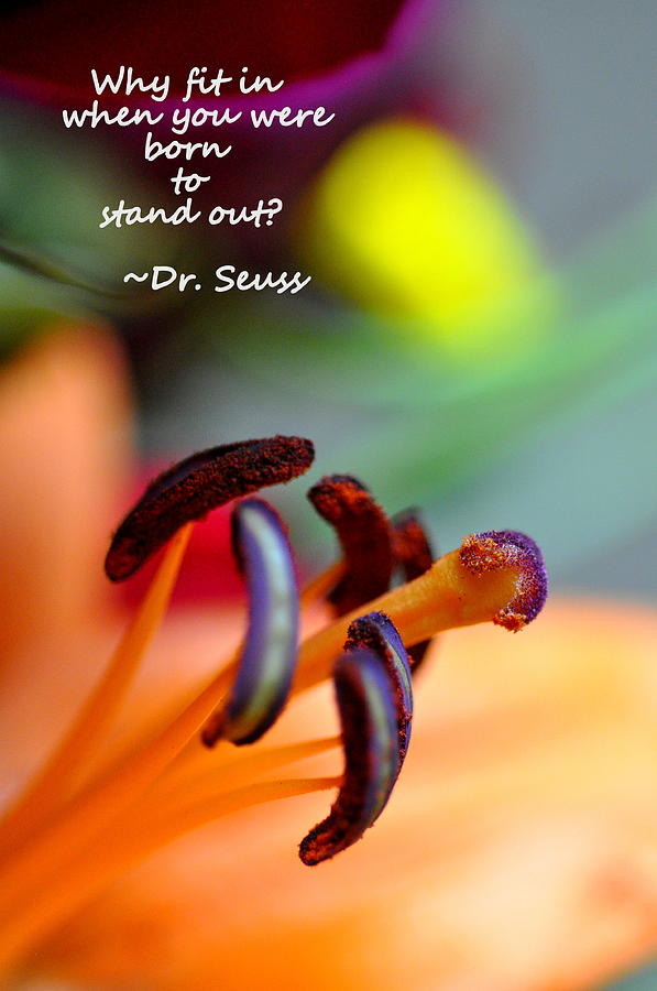 Stand Out by Christine Ricker Brandt Stand Out by Christine Ricker Brandt