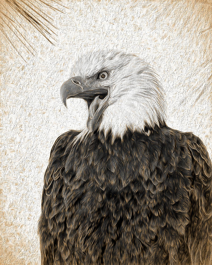 Bald Eagle Photograph - Stand Up by David Eppley