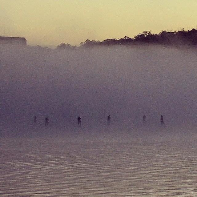 Stand Up Paddle Boarders In Morning Photograph by Anthony Croke