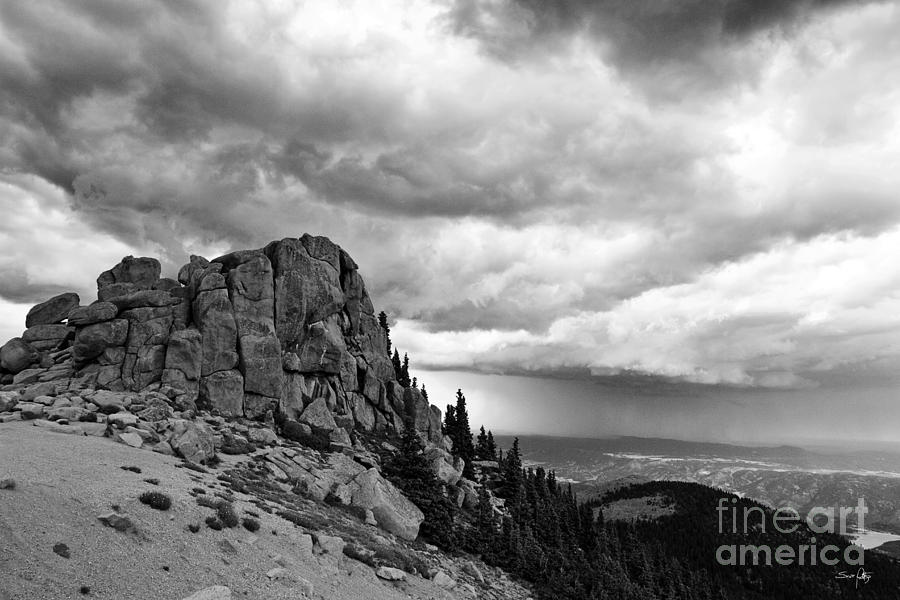 Nature Photograph - Standing against the Storm by Scott Pellegrin