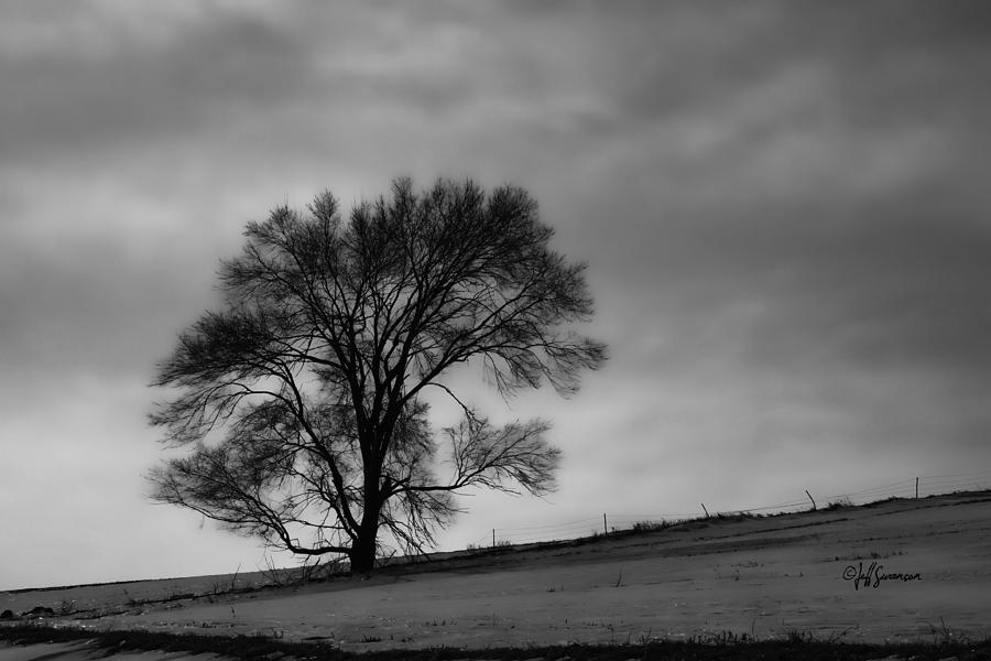 Black And White Photograph - Standing Alone by Jeff Swanson