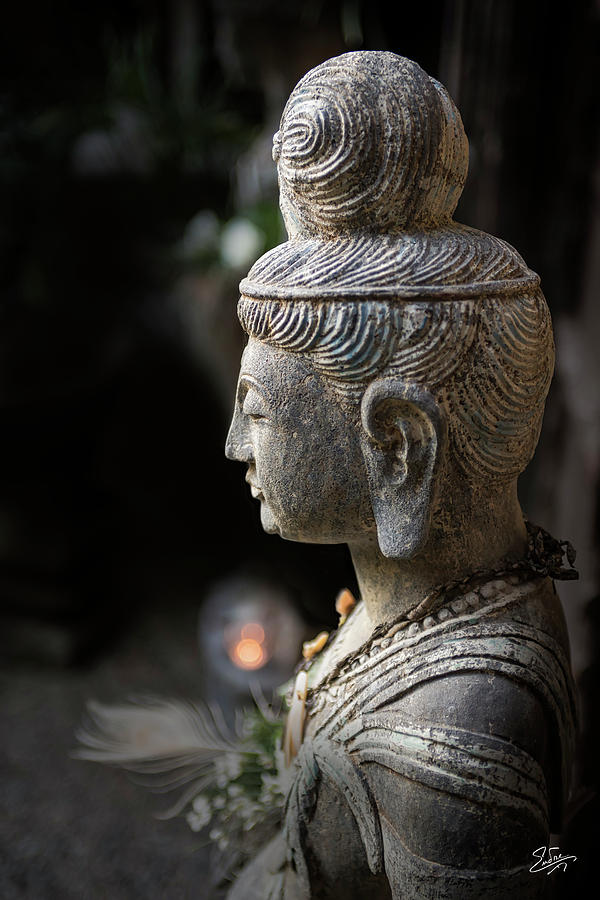Standing Buddha 1 Photograph by Endre Balogh