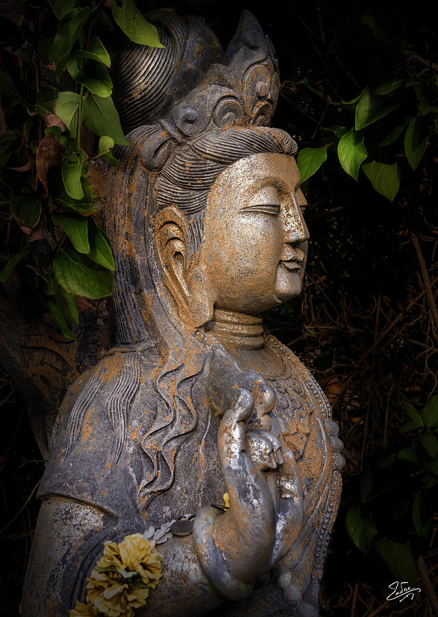 Standing Buddha Number 3 Photograph by Endre Balogh