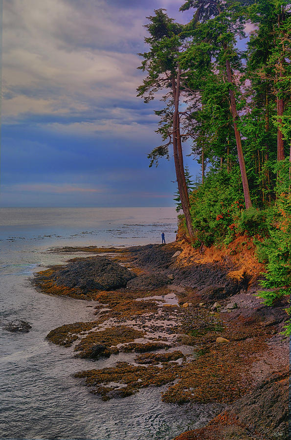 Olympic National Park Photograph - Standing by the Sea by Greg Norrell