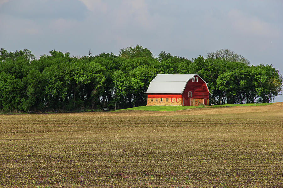 Standing Empty Photograph by Peter Bouman - Fine Art America