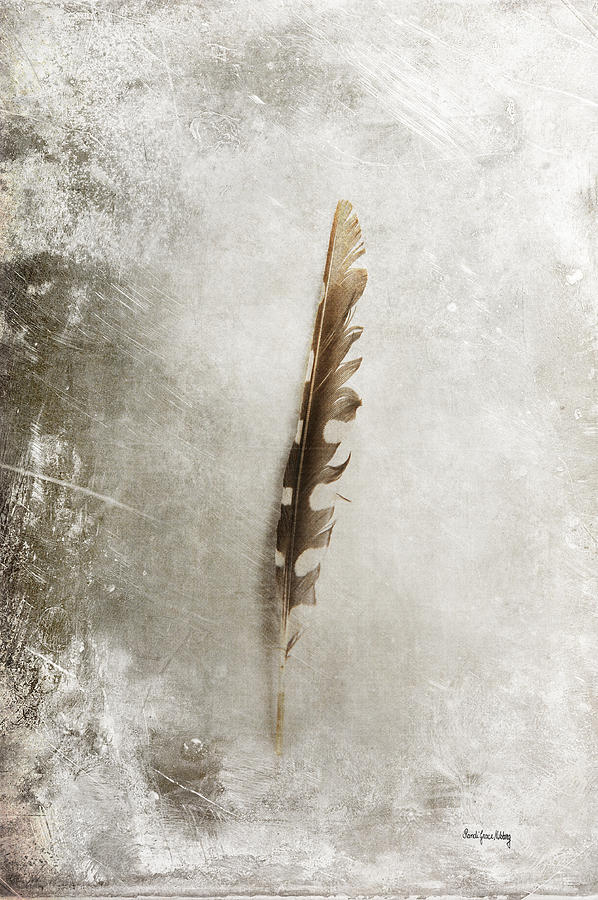 Standing Feather Photograph by Randi Grace Nilsberg