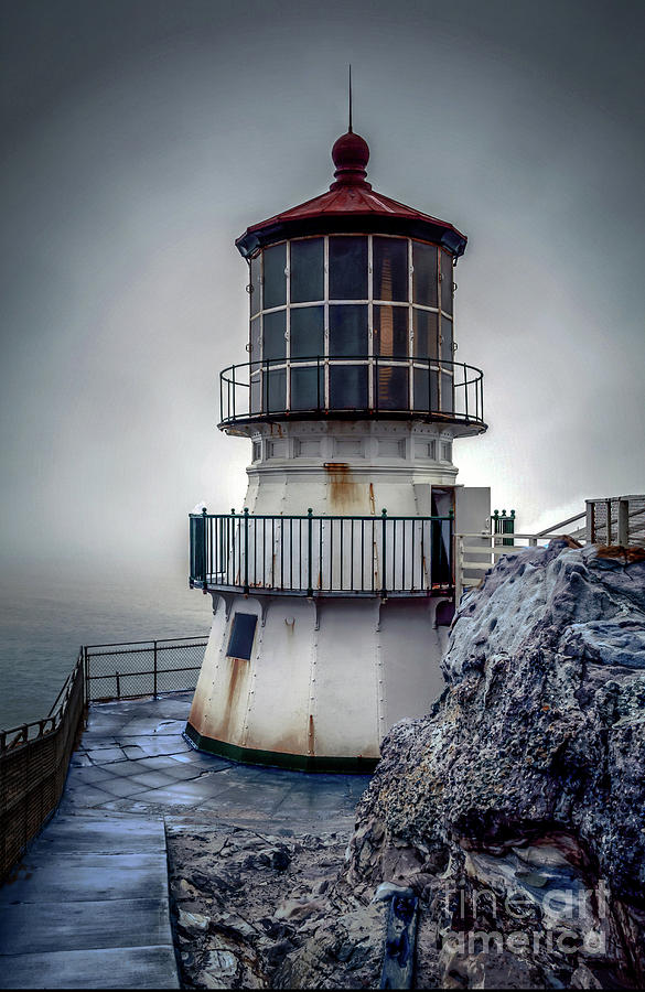 Point Reyes National Seashore Photograph - Standing Guard by Paul Gillham
