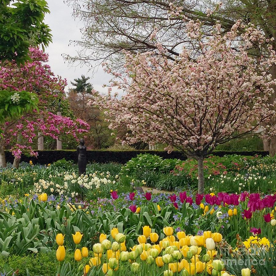 Standing In Floral Heaven At Mobot Photograph by Debbie Fenelon - Fine ...