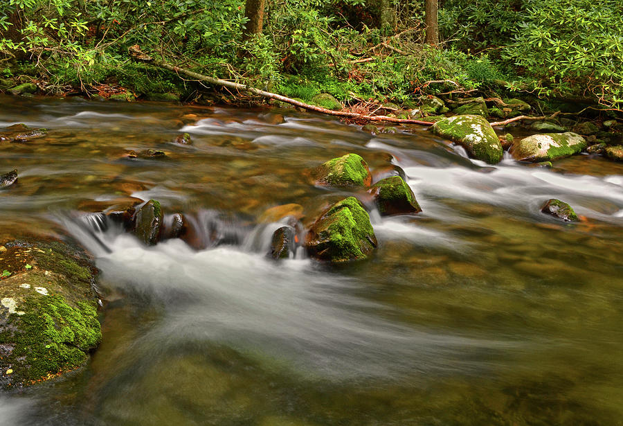Standing In Motion - Mountain Stream 035 Photograph by George Bostian