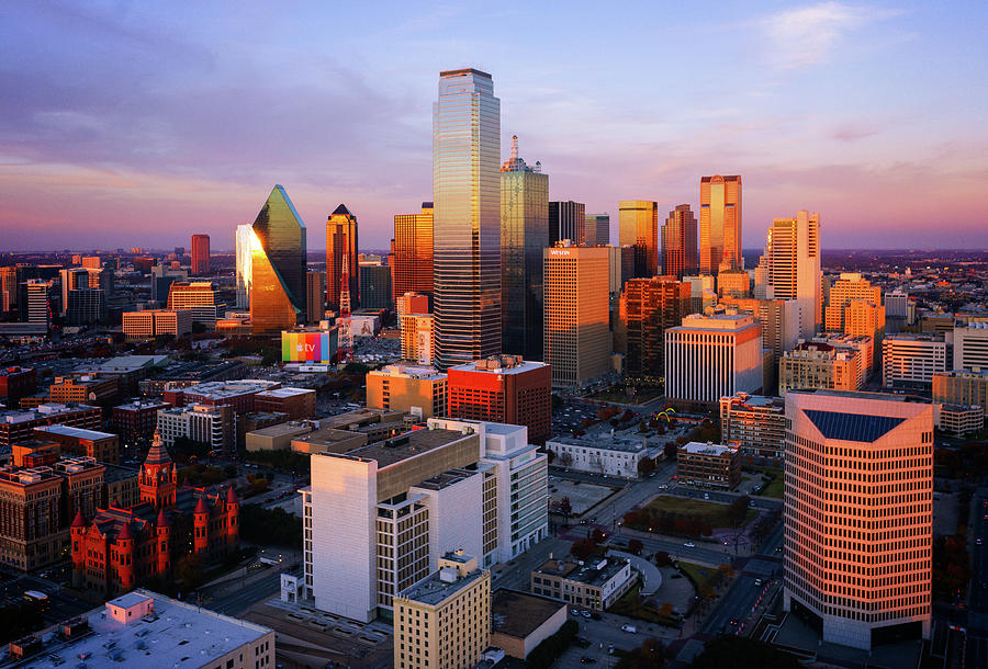 Dallas Photograph - Standing in the Sun by Ryan Moyer