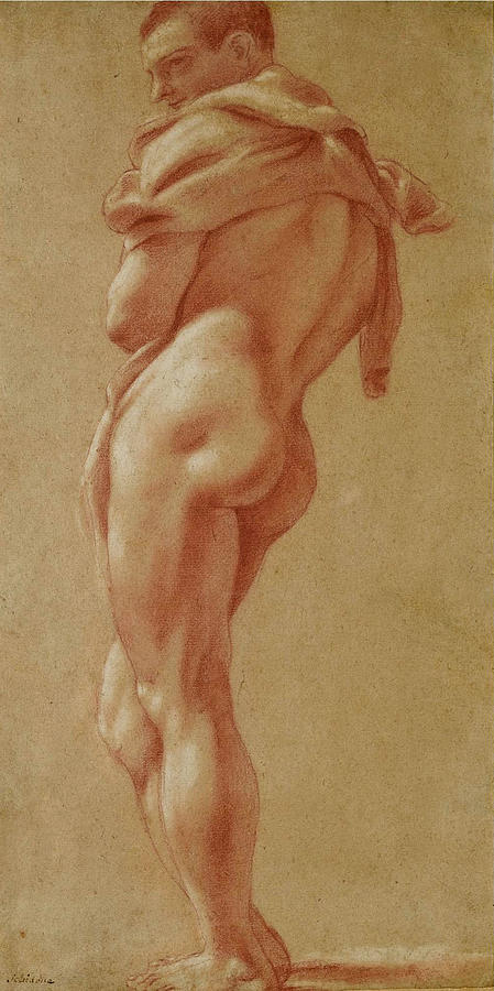 Standing male nude seen from behind Drawing by Pietro Faccini