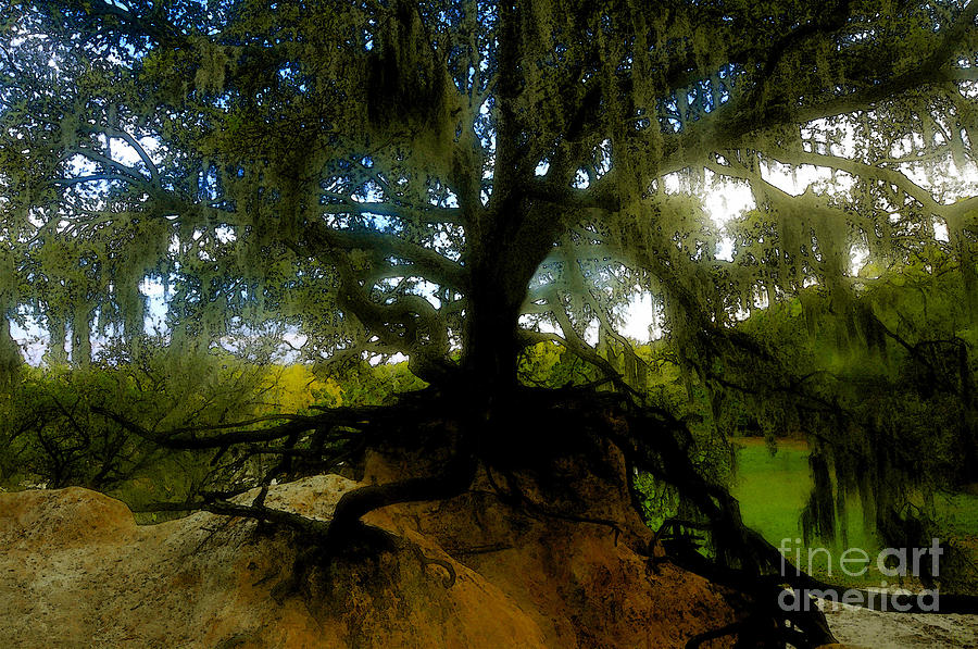 Landscape Painting - Standing oak by David Lee Thompson