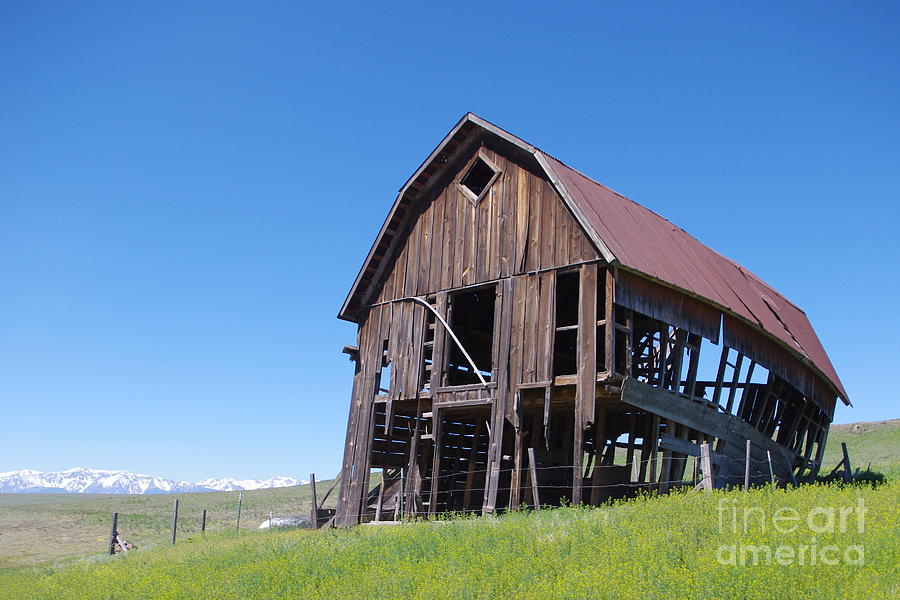 Standing Old Wooden Barn  Photograph by Don Siebel