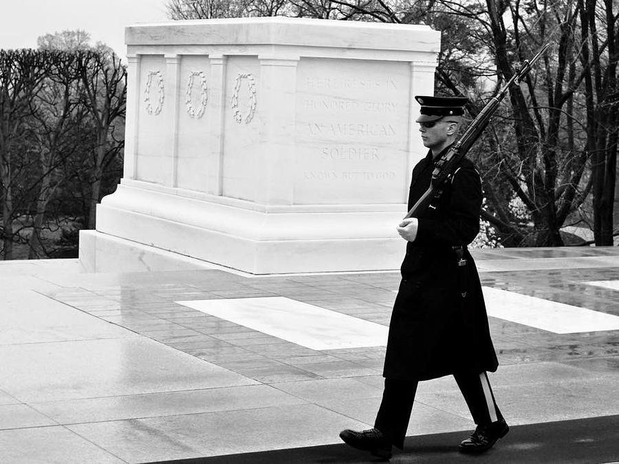 Standing Post Photograph by Kelly Rosenberger | Fine Art America