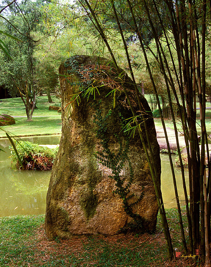 Standing Stone with Fern and Bamboo 19A Photograph by Gerry Gantt