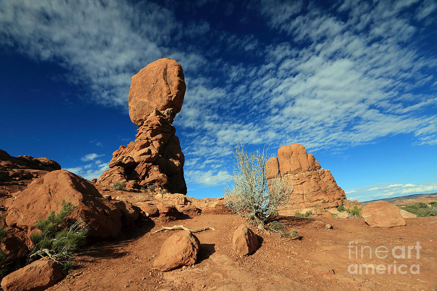 Standing Tall Against the Desert Sky Photograph by Mary Haber