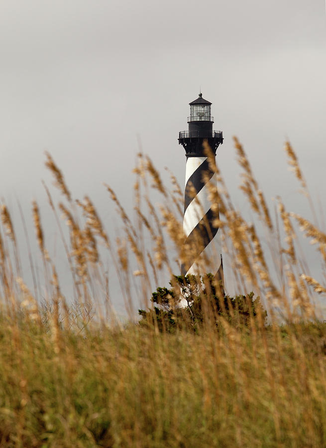 Standing tall at Hatteras by Chris Babcock Standing tall at Hatteras by Chris Babcock