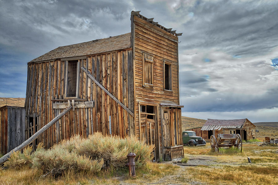 Standing Tall in Bodie Photograph by Lynn Bauer