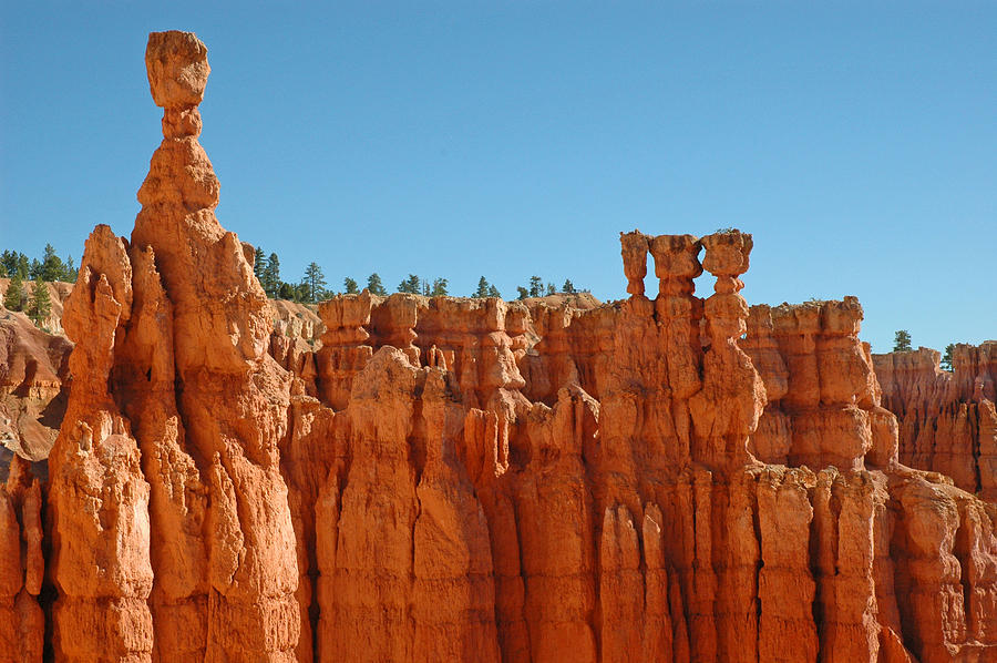 Standing Tall in Bryce Canyon Photograph by Bruce Gourley