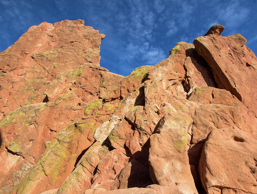 Standing Tall In The Garden Of The Gods Photograph By Amy Sorvillo