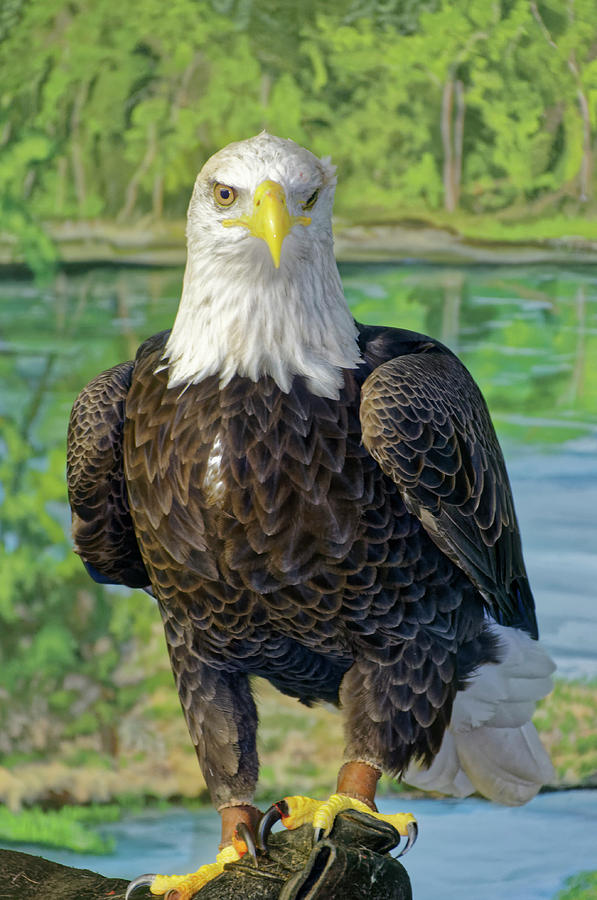 Standing Tall by Roderick Bley Standing Tall by Roderick Bley
