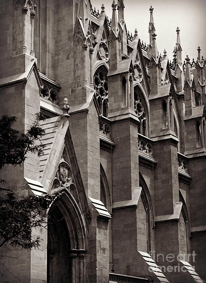 Standing Tall - St Patricks Cathedral Photograph by Miriam Danar