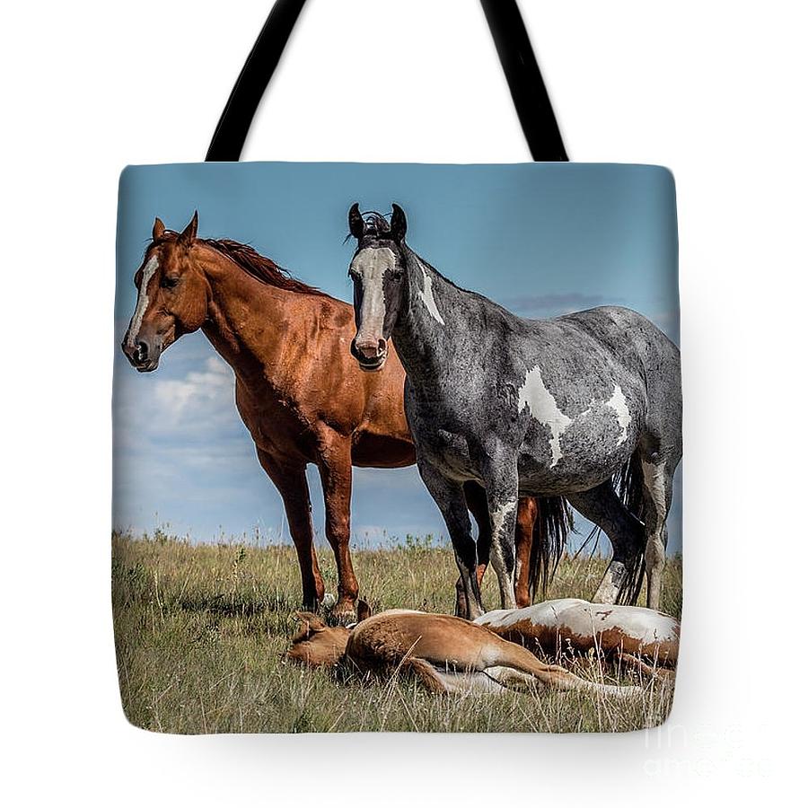 Standing Watch Over The Foals Tote Photograph by Teresa Wilson