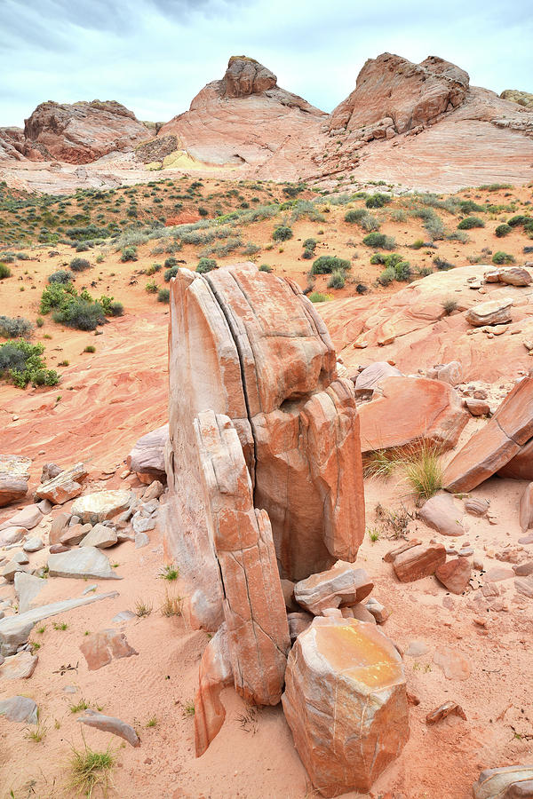 Standup Sandstone in Valley of Fire Photograph by Ray Mathis