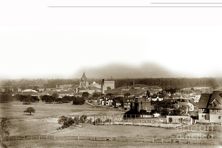 Stanford University Photograph - Stanford University December 1903 by Monterey County Historical Society
