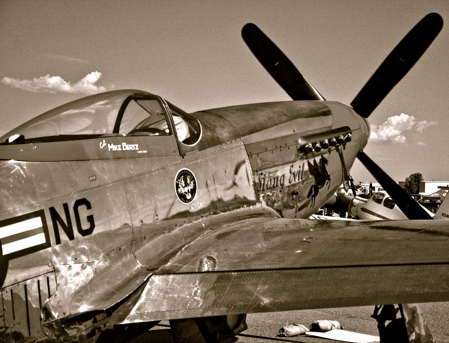 Stang Evil Mustang Vintage Fighter Plane Photograph by Amy McDaniel