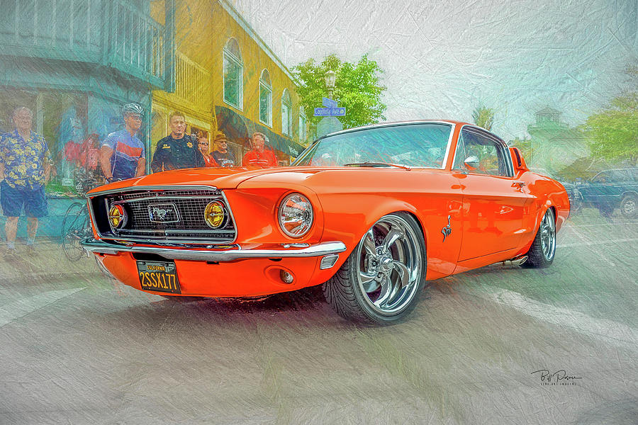 Stang me   Photograph by Bill Posner