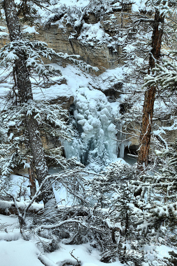 Jasper National Park Photograph - Stanley Falls Through The Trees by Adam Jewell