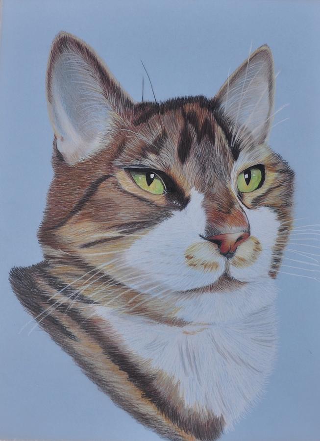 Stanley by Jo Baner Stanley by Jo Baner