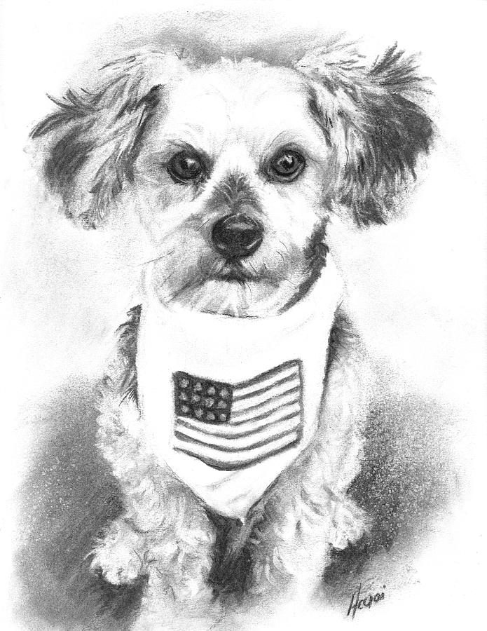 Dog Drawing - Stanley by Lisa Acciai