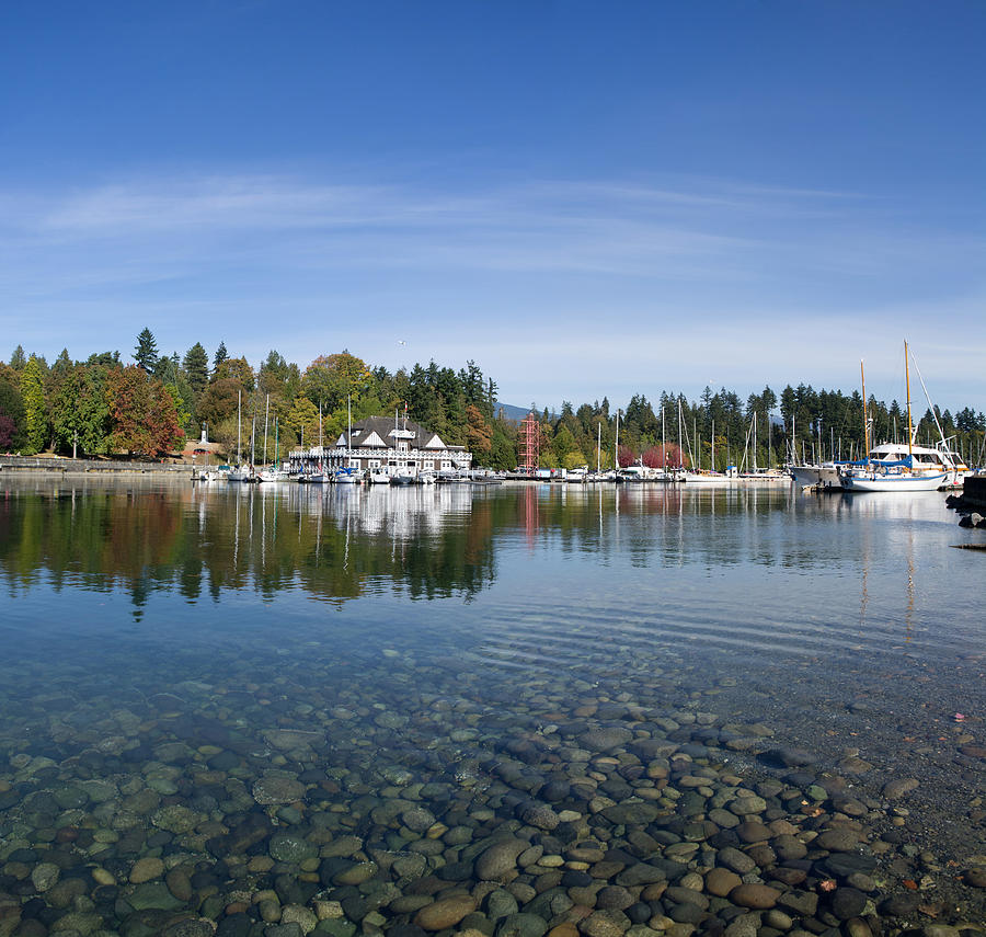 Stanley Park Photograph by Hosung Kim - Fine Art America