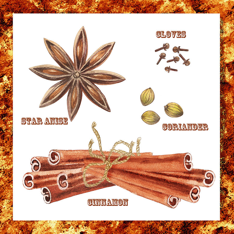 Star Anise Cloves Coriander Cinnamon Painting by Irina Sztukowski