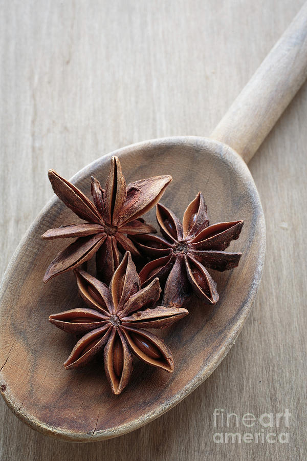 Star Anise on a wooden spoon Photograph by Edward Fielding