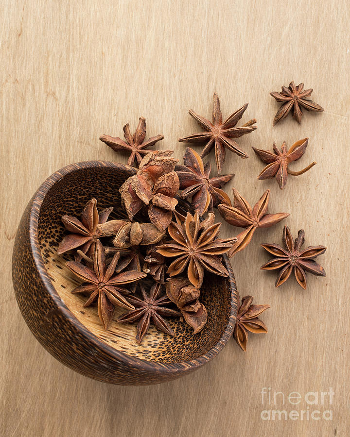 Star anise pods Photograph by Edward Fielding