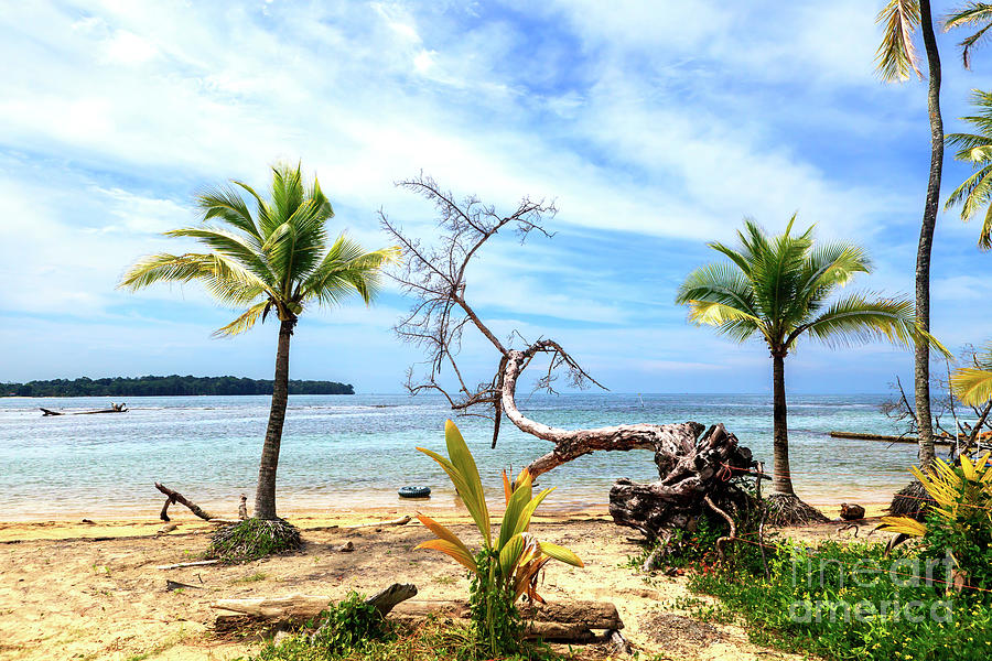 Star Beach Profile at Bocas del Toro Panama Photograph by John Rizzuto