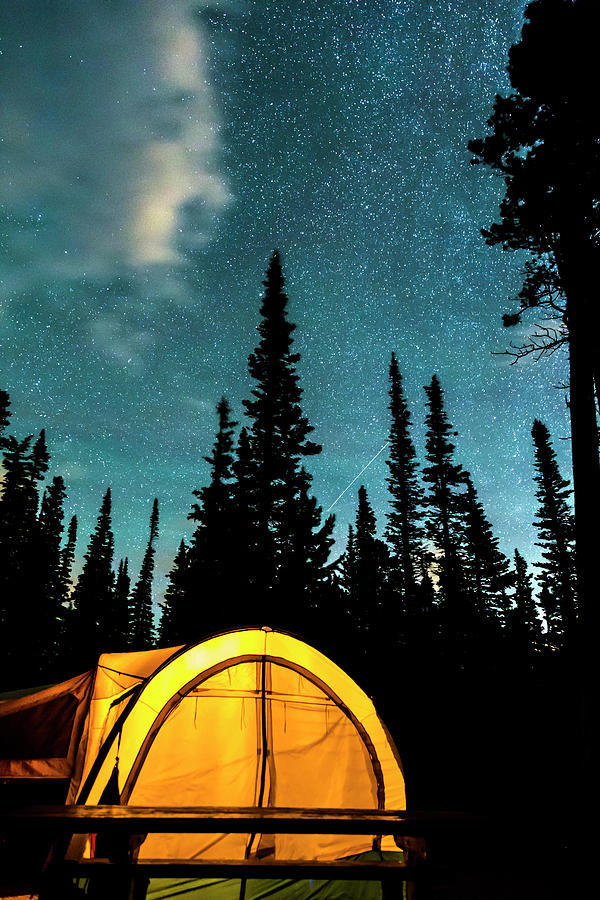Star Camping Photograph by James BO Insogna